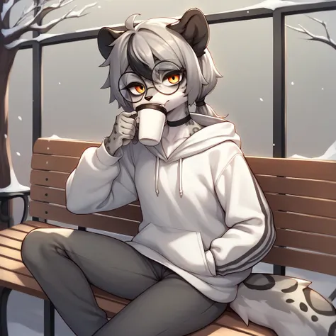 Solo, score_9, score_8_up, score_7_up, score_6_up, score_5_up, score_4_up, source_anime, Anthro furry girl, snow leopard, amber eyes, tall and skinny, short grey hair, black tips on hair, black highlights on hair, low ponytail, side locks, small chest,  ji...