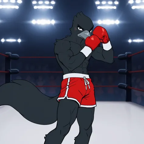   bscrow ,1boy   ,Bird Boy  ,furry, crow's tail, Alone,  anthropomorphic raven-like character,   black feathers , a little muscular,  short black hair ,  face with a short gray beak ,  Wearing white shorts ,  black boxing gloves ,  and arm and leg protecto...