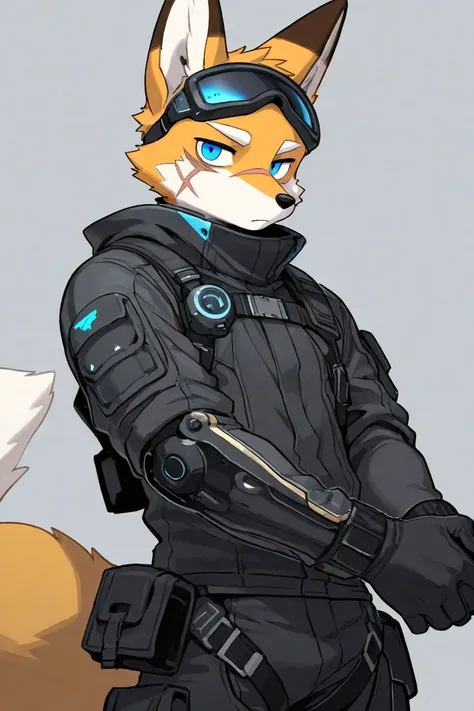 male furry fox, techwear, blue eyes, 1 boys, 1 scars on eyes, simple backgrounds