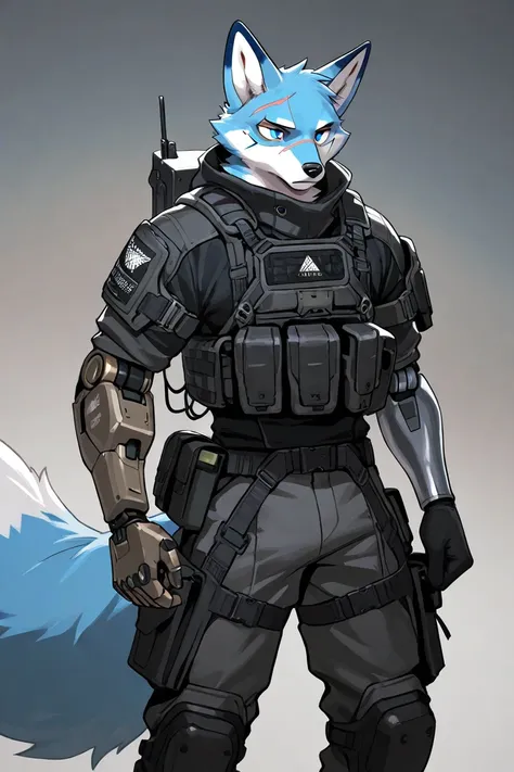 male furry fox, techwear, blue eyes, 1 boys, 1 scars on eyes, simple backgrounds, tactical gear, robotic arm