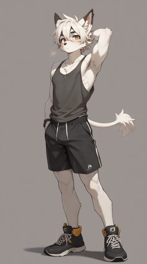 Source_furry, (((1boy))), furry, anthro, tank top, shorts