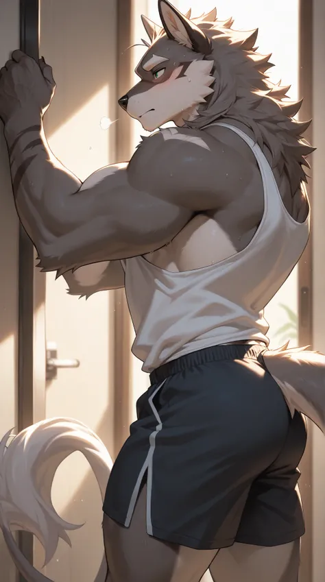 Source_furry, (((1boy))), furry, anthro, tank top, shorts