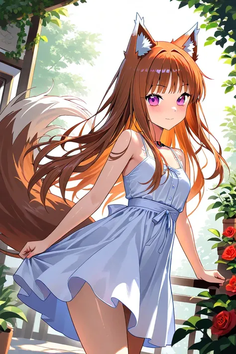 Wise Wolf Holo( Wolf and Spice)、Stylish casual clothes、 cute dress、Holo anime 2024、