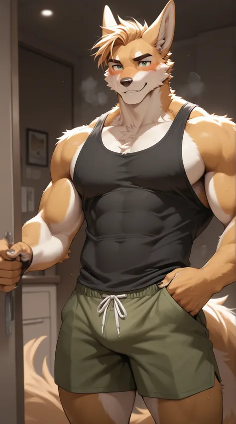 Source_furry, (((1boy))), furry, anthro, tank top, shorts