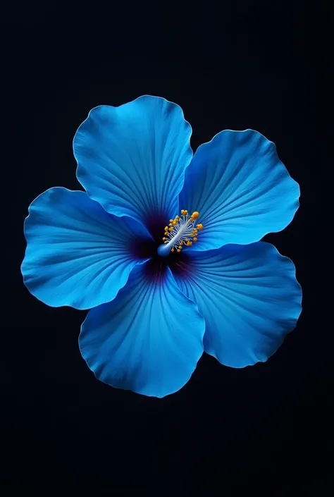 a blue hibiscus with the inscription hibiscus flower and the black background