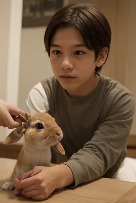 1 boy, feeding for rabbit