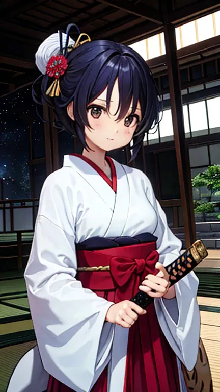 Samurai in Space, Beautiful woman, Japanese sword