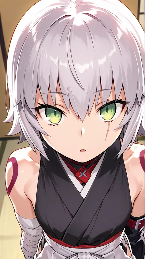 Jack The Ripper
high resolution, masterpiece, necessary, detail, best quality, quality, necessary,, High details, precise,
solo,1girl
Bgirl, JackTheRipper , Fate, Fate Grand Order, Fate, Fate Grand Order ,fate stay night, loli ,short hair, grey hair, green...