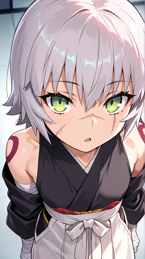 Jack The Ripper
high resolution, masterpiece, necessary, detail, best quality, quality, necessary,, High details, precise,
solo,1girl
Bgirl, JackTheRipper , Fate, Fate Grand Order, Fate, Fate Grand Order ,fate stay night, loli ,short hair, grey hair, green...