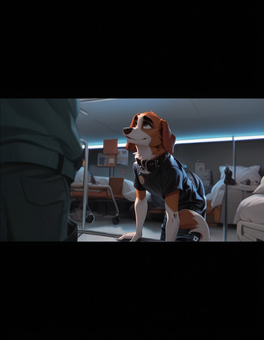 score_9, score_8_up, score_7_up, score_6_up, Anthropomorphic, furry beagle, wearing a black airport security sheet and an black leather collar with a badge, airport cargo room, 