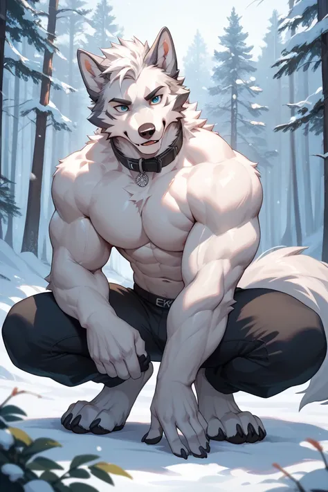 A anthro wolf male with Gray and white fur With blue eyes and muscular wearing no shirt with black pants, having his paws out wearing a black collar  In a snowy forest