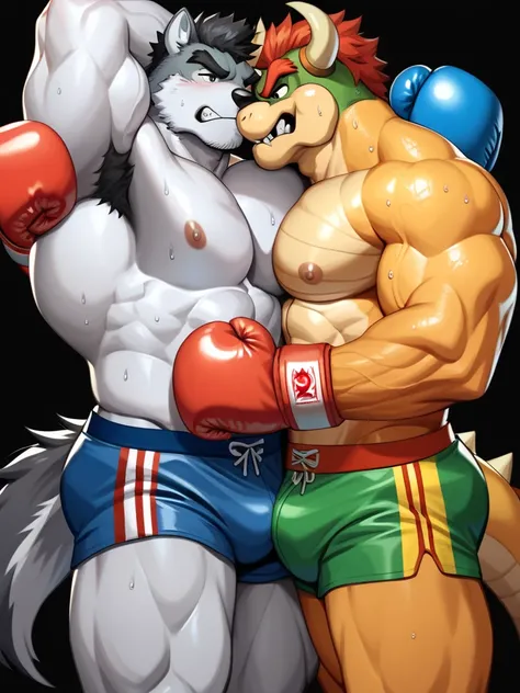 Duo anthro male(anthro Gray Wolf vs Orange Bowser), handsomes(handsome hairstyles, Thick eyebrows, detailed face), gay(Cuddling embraced, body frot at each other, glancing at each other with intensity, on a boxing match, black background), hot(Shirtless), ...