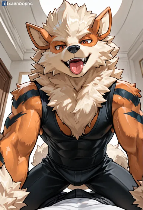 Solo, male arcanine (fluffy fur, lean body, anthropomorphic arcanine, tall, dominant, muscular, smiling), accurate anatomy, arcanine looking at viewer seducticely, on top of viewer, low pov, femboy, tongue out, viewer is a human, clothed