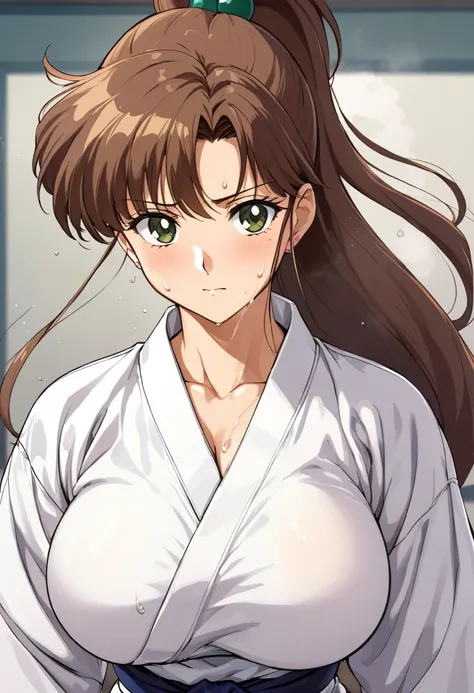  masterpiece,  top quality,  Hi-Res, (Makoto Kino),1990s \( style\),: 175cm,   Brown Long Hair  , ponytail、  sexyな長い脚, karate, Martial Arts Field ,( E cup beautiful breasts)、 sweaty all over 、vapor、 muscular、 sexy、A face twisted with joy、 sweaty 、  front c...