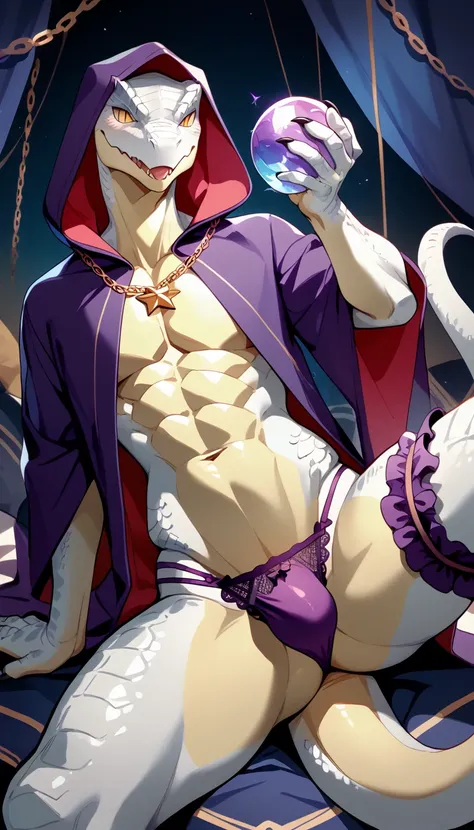 Highest quality、perfect anatomy,((Anthropomorphic male Lizardman in purple thong panties)),lace panties,Furry、Lizard head、Lizard tail,Gay、purple robe,navel、Fantasy、Skimpy、White Breath、crotch close-up,anime style,slit eyes,white scales,holding crystal ball ...