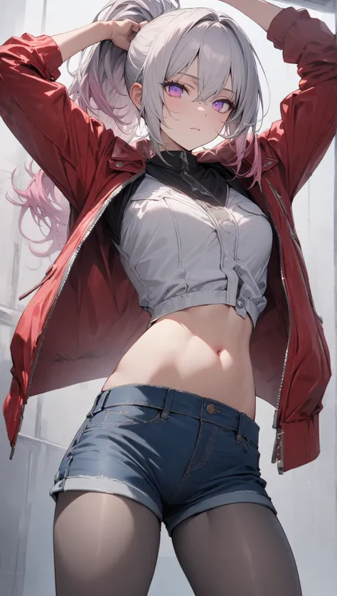 ((masterpiece)), ((best quality)), extremely detailed face, ((extremely detailed)), best pose,
a handsome girl, solo, 25 years old,
silver hair, pink hair, ponytail, violet eyes, bright eyes,
((light red midriff jacket)), open jacket, shirt, denim shorts, ...