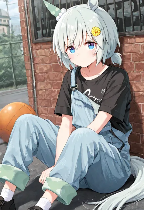 score_9, score_8_up, score_7_up, BREAK, best quality, masterpiece, very aesthetic, ultra detailed,very detailed background,BREAK,,zPDXL3,Seiun_Sky,SS_Casual, 1girl, solo,short hair, blue eyes, white hair, hair ornament, sitting,short sleeves, shoes, socks,...