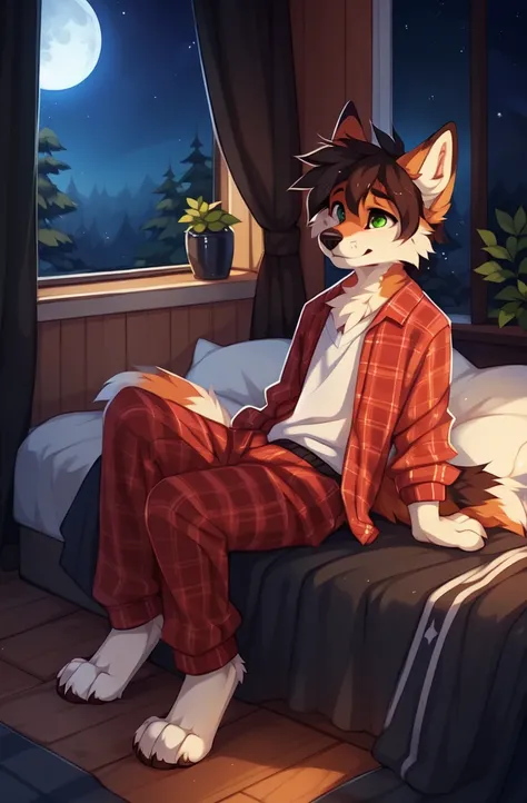 solo，full body，Male，fox，green eyes，brown hands，pajamas，Good night，sleepy，Spacious bedroom，floor，Outside the window is the night sky and the Milky Way，Moon outside the window，Stellaris, ((by keihound, by reysi)), by Zackary911, by hyattlen, by fumiko, by fl...