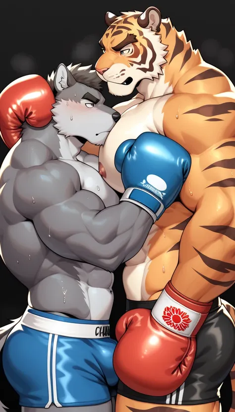 Duo anthro male(anthro Gray Wolf vs anthro Orange Tiger ), handsomes(handsome hairstyles, Thick eyebrows, detailed face), [Gray Wolf: Big muscle body, embracing Tiger body], [Orange Tiger: Embracing Gray Wolf], gay(Cuddling embraced at each other, body fro...