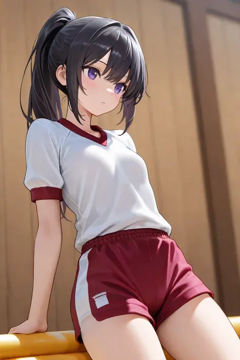 ( masterpiece,  top quality,  very detailed) ( black hair long ponytail purple eyes  girl) Gymnastic uniform bloomer with small breasts