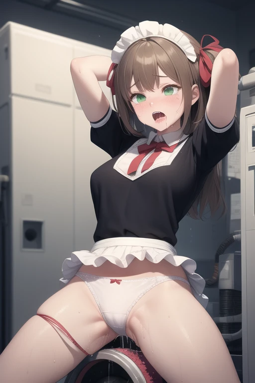 ( masterpiece), ( top quality),(  crotch cleaning case:1.2), sex machine,  1 girl,  is crying, scream,tears, brown hair,  pussy juice, female ,  suspension, underwear, chest,  brown hair,  panties,  suppressed, large chest,  Green Eyes, Maid,  twin tails, ...