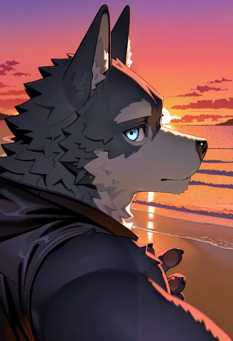 wolf ,solo, furry, male,close up, reaching, upper body, sunset, sleeveless jacket, looking at viewer, close up, beach, side view,detailed eyes, nice eyes, 

,2024, 2023, 2022, r4cc00n21, masterpiece,best quality,amazing quality,