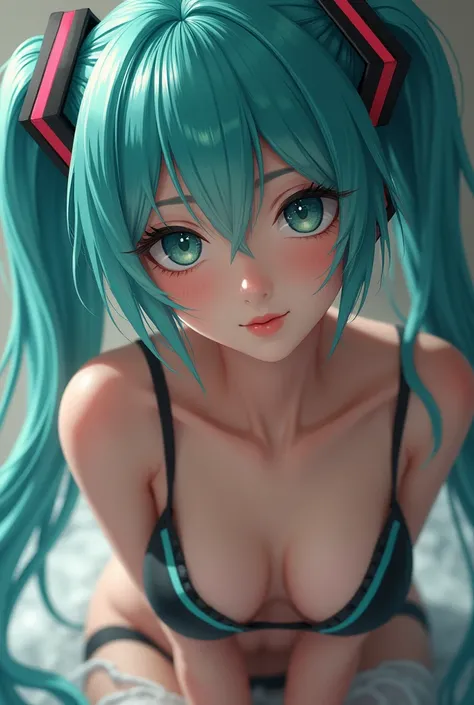 Hatsune miku, implied sex