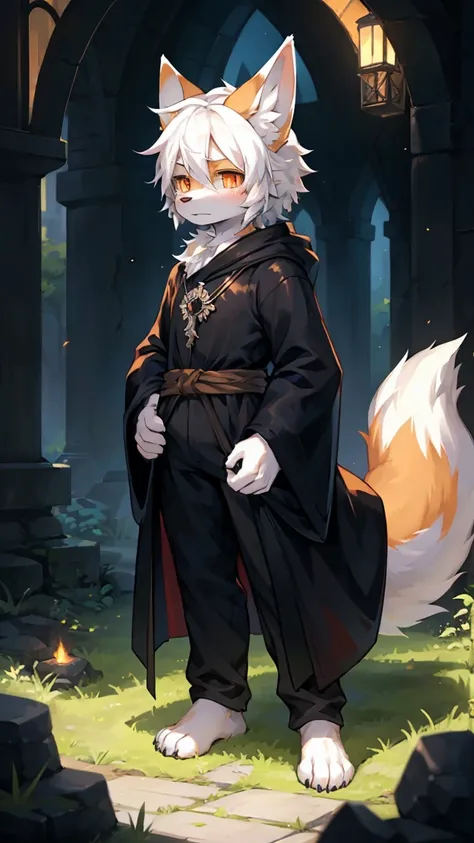 male,  furry,  full body fur,  furry尾巴, digital painting, a fox, an orc, ( White hair :1.0), White hair all over, White ears, Orange pupils,  Black Robe ,  black trousers,  Serious Expression , Mage