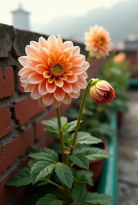 Ultra-Realistic Prompt:
"A breathtaking, ultra-realistic close-up of a Dahlia flower in full bloom, with delicate, slightly curled petals displaying a soft gradient of orange and pink hues. The vibrant yellow central disk is rich in texture, with intricate...