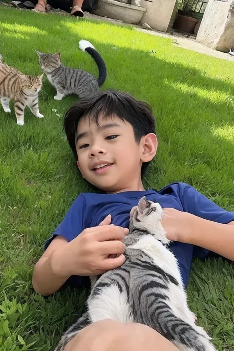 A boy playing with several cats on the grass in the sun is a masterpiece picture. 