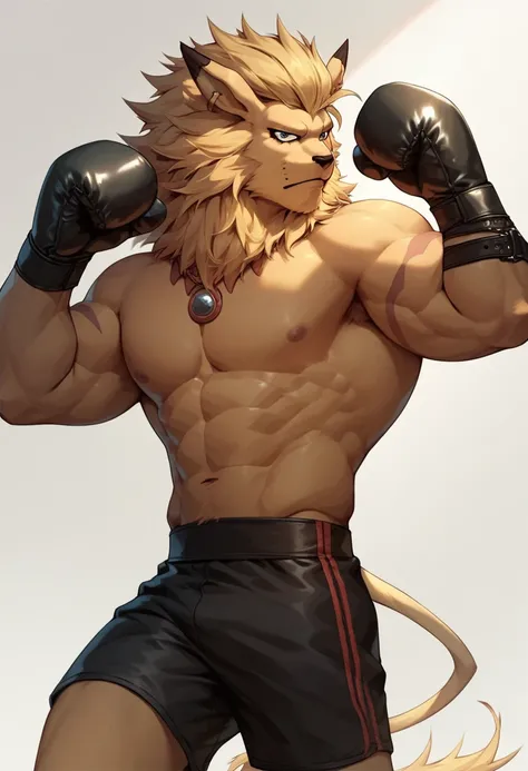 Leomon, muscular, shirtless, black boxing shorts, black boxing gloves, posing