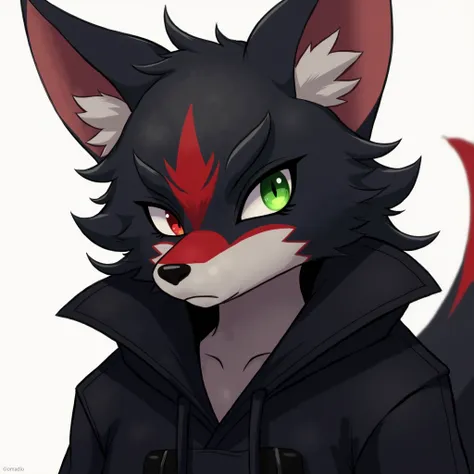 Furry male fox, in a black coat. There should be a face in the frame, it has black fur, some places are red. His right eye is green, and his left eye red, Need something like anime style. I said Furry 