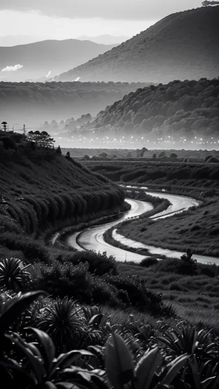 a photograph, (Sebastião Salgado style:1.4)