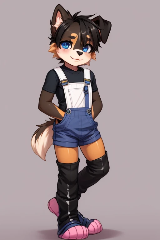 Furry Bernese mountain dog, forelimb, Legs, Standing Shota boy, Overall whitehead, Arms, Body and legs，Blue-black pattern all over the body，pink flesh pads, eyes and pupils blue, Furry, No clothing, Two ears