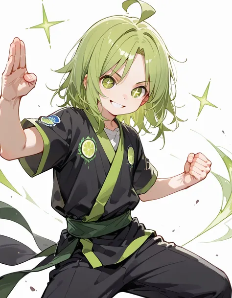 (dynamic pose++),looking at viewer,(sideview),solo,young man,(male,s eyes,male's body),parted bangs, lime green boyish hair, thin medium hair:1.2, green clear eyes,dark traveler's clothes,boy's pants, winner smile,ahoge, pride,(fighting stance+),lineart++,...