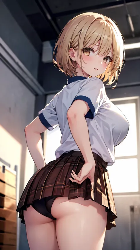 masterpiece, best quality, amazing quality, 1 girl , school gym uniform,white shirts,plain skirts, ((buruma)),(buruma in brown plaid skirts),the  girl is lifting up her skirt herself, 18 years old, thick thighs,  sleeveless, (buruma:1.8), , slim, curvy,  ,...