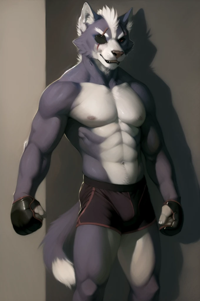 (by oouna, by honovy) male, lion, felid, solo,eyepatch, red eyes, grey body, scar, wolf o'donnell, muscular, shirtless, six-pack abs, purple boxing shorts, purple boxing gloves 