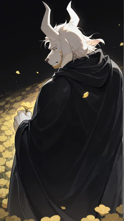 solo , furry, male, muscular male, (asgore dreemurr),undertale,black cloak,looking back,narrowed eyes,sad,holding flower,yellow flower,flower field,falling petals,light particles,simple white background,cowboy shot,three quarter view, dynamic pose,wind,dra...