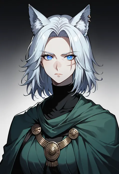 One woman, mature, female anime character with short white spiky hair, large wolf ears, wolf tail, expressionless, green cloak, worn ancient plain armor, face scars, white piercing eyes, black undersuit, rogue anime woman, detailed anime character art, nec...