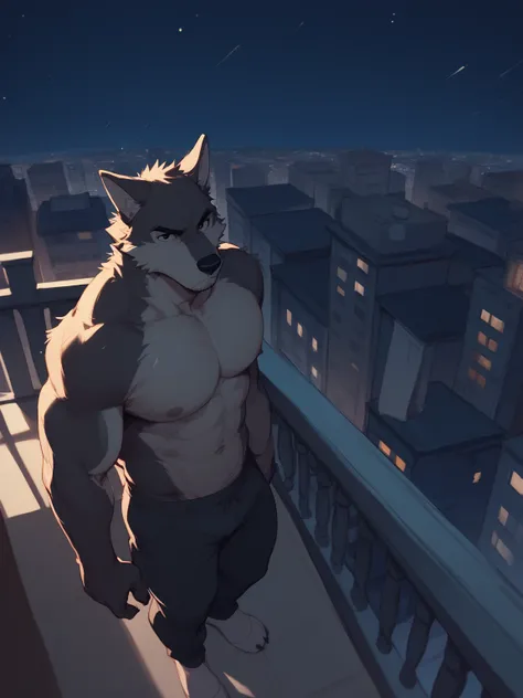 Masterpiece, solo, bara, wolf, tricolor wolf, falling ears, from above, emphasis lines, as a drawing, dark ambient, night time, night ambient, from above, black eyes, lightly illuminated, tall body, sketch, night city, night city, above from a balcony, sta...