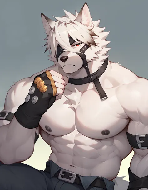 Score_9, Score_8_up, Score_7_up, alone, is from Wolfdog, Werewolf,white fur, muscular, red eyes, Button, Eye mask, One eye covered, pants, Wristband, The best band , bust portrait , Fingernails , fingerless gloves ,Thin,Lie down,Supine, muscular身体, to ...