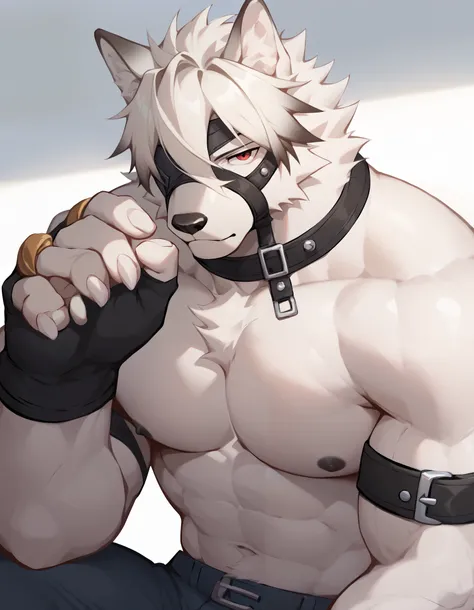Score_9, Score_8_up, Score_7_up, alone, is from Wolfdog, Werewolf,white fur, muscular, red eyes, Button, Eye mask, One eye covered, pants, Wristband, The best band , bust portrait , Fingernails , fingerless gloves ,Thin,Lie down,Supine, muscular身体, to ...