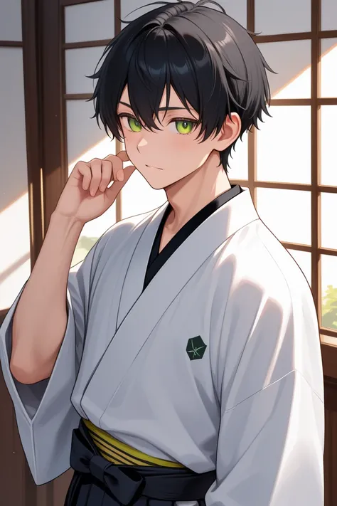 A boy with black hair and Green eyes wearing a male kimono