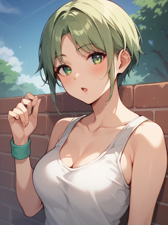  score_9,  score_8_up,  score_7_up,  score_6_up,  source_ anime，1 girl, nsfw，  uncensored，Alone,  blond hair, split bangs on the background,  short hair, White Tank Top,  sleeveless,   wristband  , Chest, Natural Breasts,  green eyes , The chestnut mouth, ...