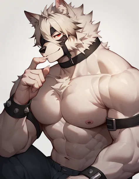 Score_9, Score_8_up, Score_7_up, alone, is from Wolfdog, Werewolf, Muscular, red eyes, Button, Eye mask, One eye covered, pants, Wristband, The best band , Fingernails , Finger sleeve , bust portrait ,Chest Focus, Tail, detailed abs,Detailed pectoral mu...