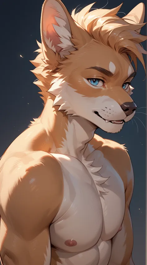 Source_furry,  (((1boy))), furry, anthro, sexy