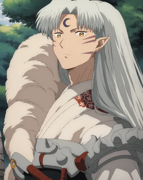 best quality, score_9, score_8_up, score_7_up, source_anime,
sesshomaru, sesshomaru, long hair, yellow eyes, white hair, male focus pointy ears, facial mark, crescent, forehead mark,
japanese clothes, armor, fur,
outdoors, landscape,
looking at viewer, dut...