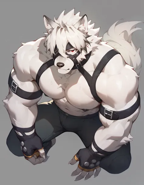 Score_9, Score_8_up, Score_7_up, alone, is from Wolfdog, Werewolf,white fur, Muscular, red eyes,, Eye mask, One eye covered, pants, Wristband, The best band , Full Body Portrait,gym background,Sweat, Fingernails ,Wolf Paw, fingerless gloves ,Thin,Lie do...