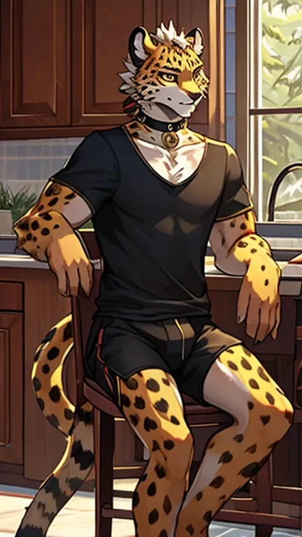 Realistic anatomy,  short hair,  chelka, Animal ears, Gray-gold eye, cheetah,  Paren , Full growth,  front view,  sits on a chair,  kitchen, Red and black long t-shirt, Black long shorts, slim body, thin arms, thin legs, High definition, Three Feather Earr...