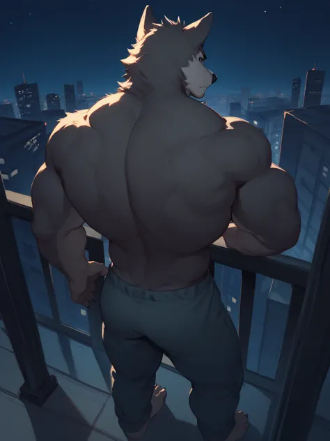 Masterpiece, solo, bara, wolf, tricolor wolf, gray wolf, from above, emphasis lines, as a drawing, dark ambient, night time, night ambient, from above, black eyes, lightly illuminated, tall body, sketch, night city, night city, above from a balcony, standi...